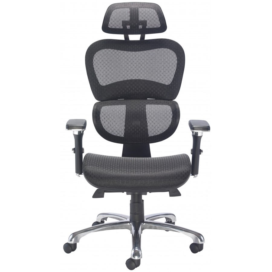 Chequers Mesh Posture Office Chair